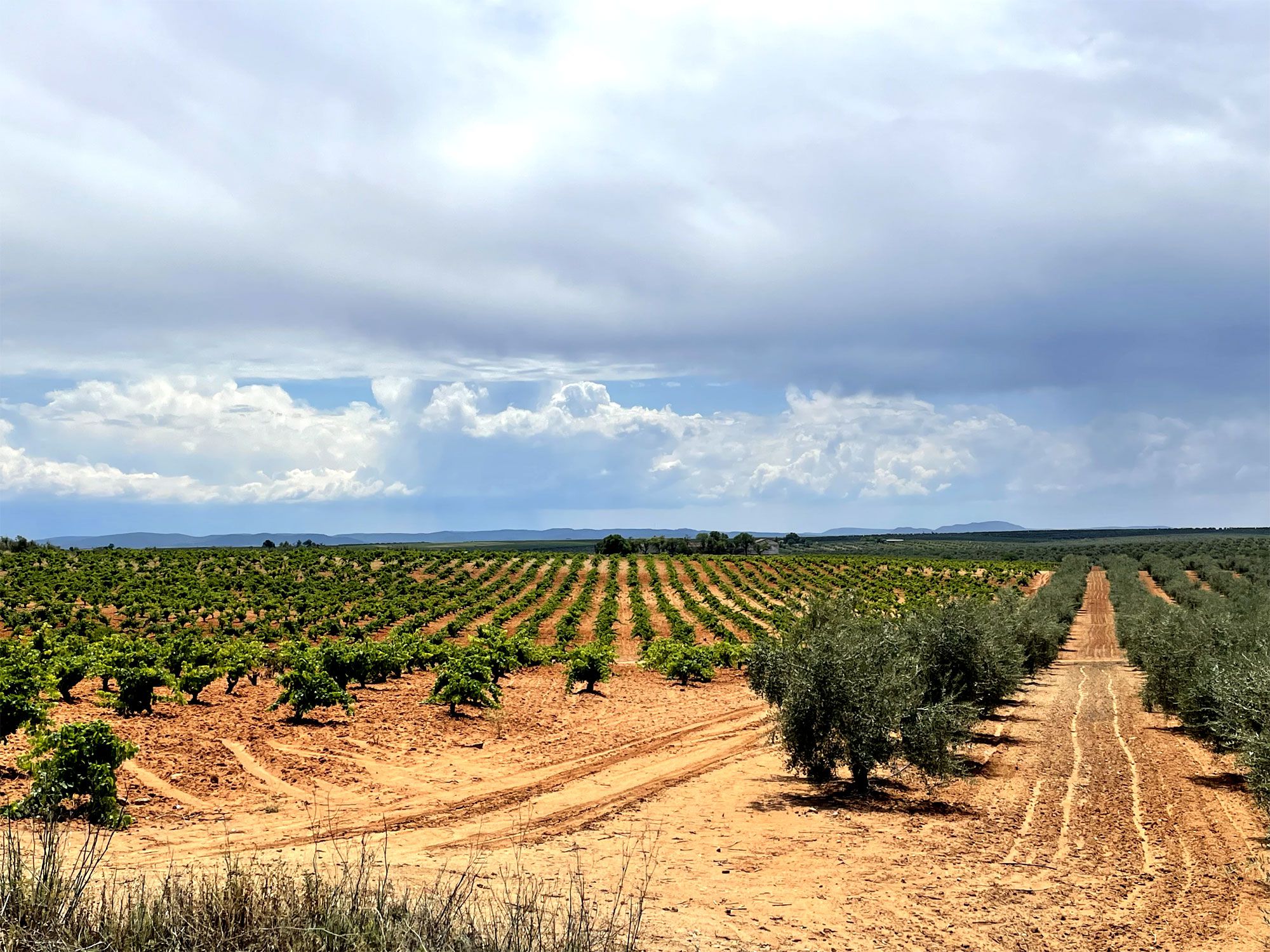 Terrenos. Inmobiliaria Vallesur en Lecrin