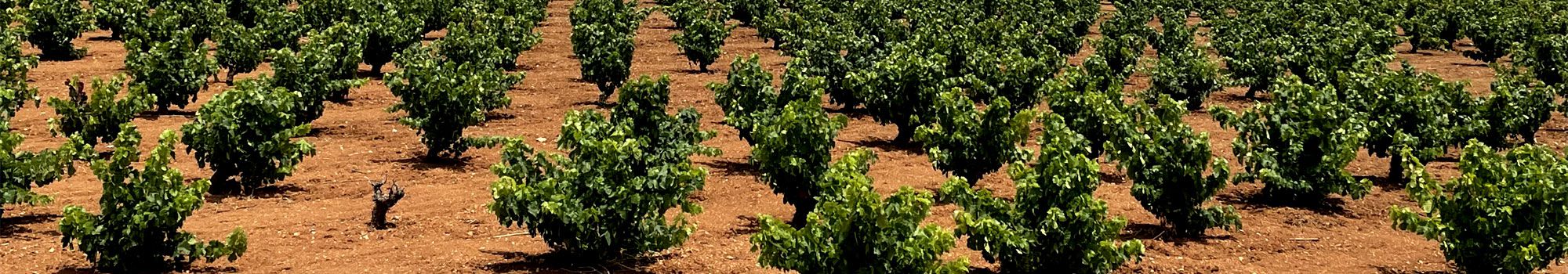 Gran oferta de solares y terrenos en Valle de Lecrin, El Pinar, El Valle. Inmobiliaria Valle Sur en Lecrin