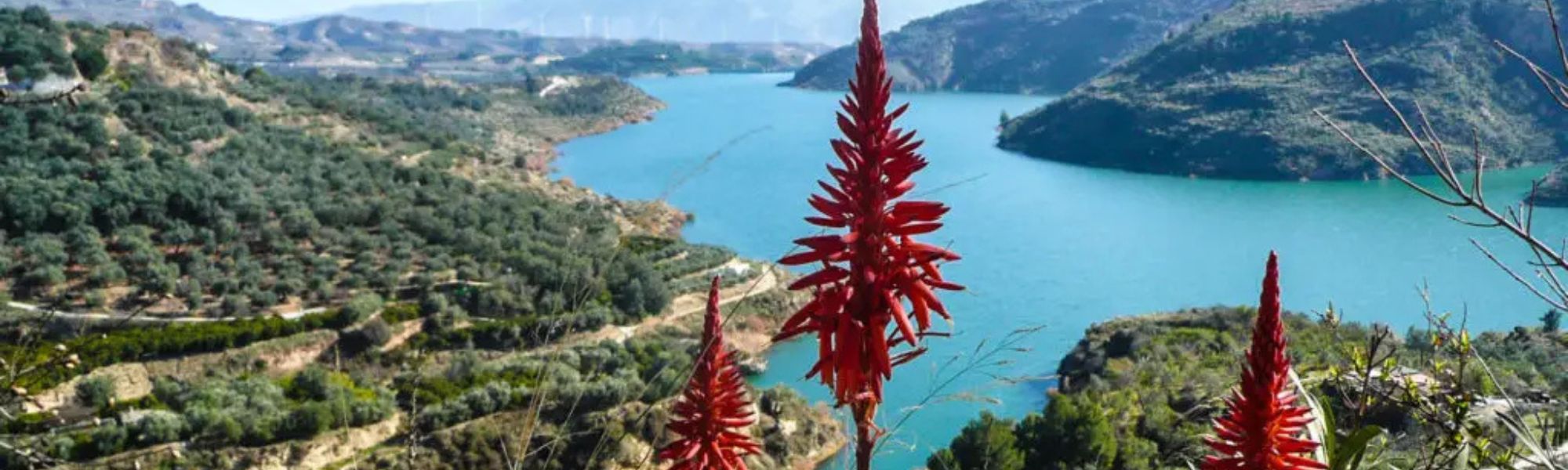 Queremos encontrar su casa en el valle de Lecrin.  en Lecrin